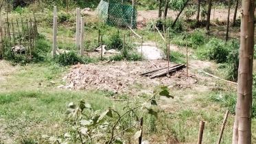 manikganj_skeleton_31mar22.jpg