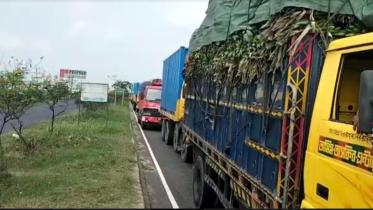 comilla.jpg