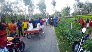 thakurgaon_pic-3_killed_in_road_accident-02.jpg