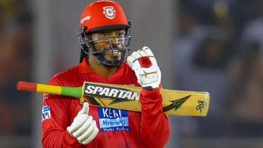 gayle_1.jpg