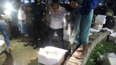 benapole_photo-rab-6_members_destroy_a_truck_loaded_with_jelly_injecting_shrimp_in_jashore_-03.06.22.jpg