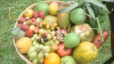 thakurgaon_pic-fruit_festival-03_1.jpg