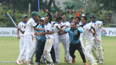 school cricket