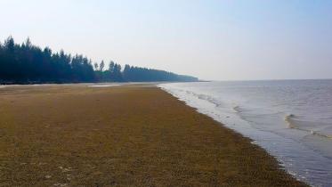 patuakhali.jpg
