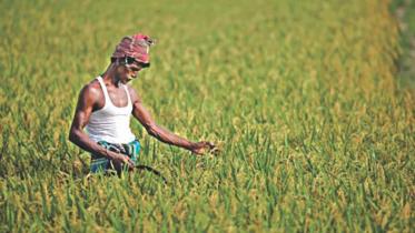 farmer_14.jpg