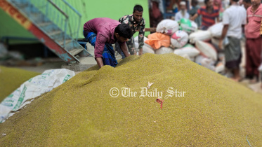 পটুয়াখালী মুগডাল