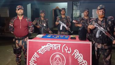 যশোরের শার্শা সীমান্তে ৪৩ স্বর্ণের বার জব্দ