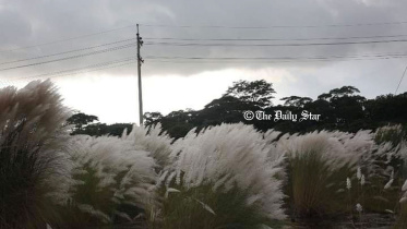 বরগুনা বিসিক