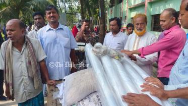 নাটোর কৃষি প্রণোদনা