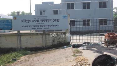 মৎস্য অবতরণ কেন্দ্র