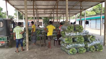 ৭ টাকার পেঁপে যেভাবে ২৫ টাকা হয়