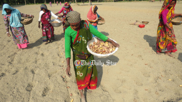 আলু বীজ নিয়ে প্রতারণা : আলু চাষের মৌসুমে রংপুরে আলু বীজ নিয়ে প্রতারণার অপরাধে ২ প্রতিষ্ঠানকে জরিমানা করা হয়েছে।