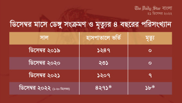 ডিসেম্বরেও ডেঙ্গুর প্রকোপ