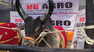 ক্যাটেল এক্সপোতে কাংকারাজ গরু দেখতে ভিড়