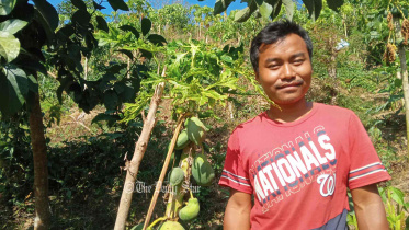 পাহাড়ে তরুণ উদ্যোক্তা