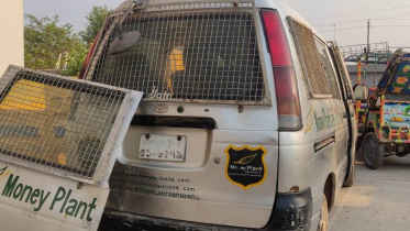 মানি প্ল্যান্ট