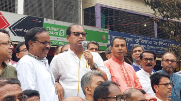 শামসুজ্জামান দুদু, বিএনপি, আওয়ামী লীগ, গণতন্ত্র, তত্ত্বাবধায়ক সরকার,