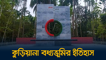 বরিশাল, কুড়িয়ানা বধ্যভূমি, পিরোজপুর, নেছারাবাদ, মুক্তিযুদ্ধ,