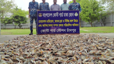 chandpur_panggash.jpg