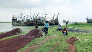 মাছ ধরায় নিষেধাজ্ঞা