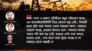 আন্তর্জাতিক বাজারে কয়লা, ক্রুড অয়েল বা এলএনজির দাম এখন অনেক কমেছে।