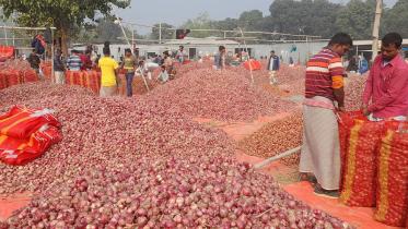 sujanagar_onion_haat_photo_of_last_month.jpg
