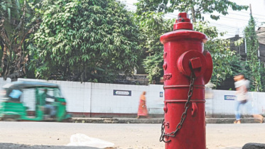 fire_hydrant.jpg
