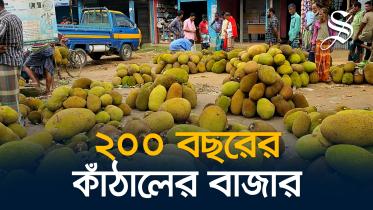 কাঁঠালের বাজার.jpg