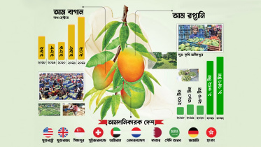 আম, আম রপ্তানি,