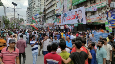 bnp