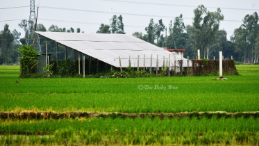 সোলার পাম্প