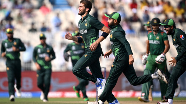 শাহিন শাহ আফ্রিদি