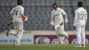 Glenn Phillips & Mitchell Santner 