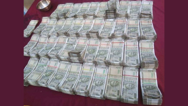 নো-ম্যানস ল্যান্ডে পোঁতা ছিল ২১ লাখ ভারতীয় রুপি, উদ্ধার করল বিজিবি