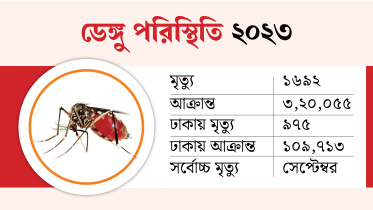 dengue-02.jpg