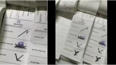 বাংলাদেশ নির্বাচন ২০২৪