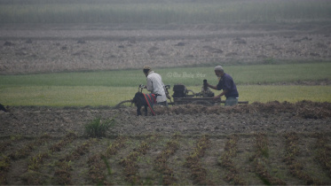 উত্তরাঞ্চল