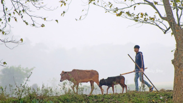 বৃহস্পতিবার দিবাগত রাত থেকে বৃষ্টির সম্ভাবনা, রাতের তাপমাত্রা কমবে