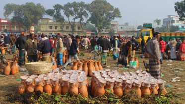 chuadanga_molasses_market_26-01-24_5.jpg