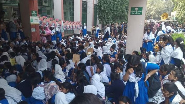 নরসিংদী