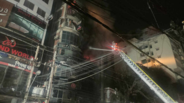 কাচ্চি ভাই.jpg