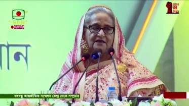 কিছু ভাড়াটে লোক কথায় কথায় শ্রমিকদের নিয়ে রাস্তায় নামার চেষ্টা করে: প্রধানমন্ত্রী