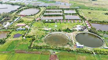 সাভানা রিসোর্ট