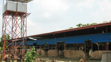 সাদিক অ্যাগ্রো.jpg