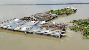 টাঙ্গাইল বন্যা