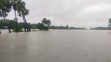 ফেনীতে বন্যা