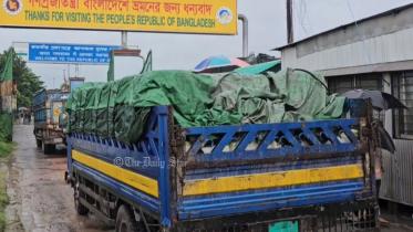 benapole hilsa export.jpg