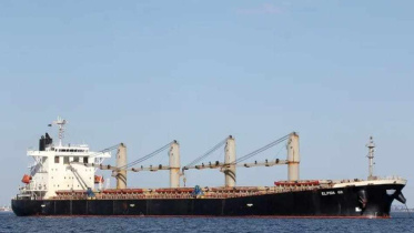 আর্জেন্টিনা থেকে গম