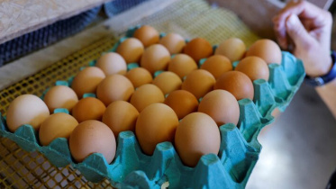 যুক্তরাষ্ট্র, পেনসিলভেনিয়া, বার্ড ফ্লু,