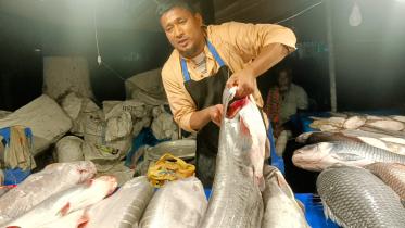 কিশোরগঞ্জ